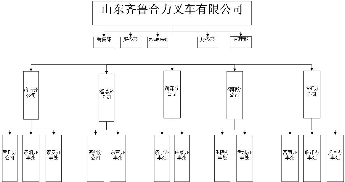 齐鲁Z6尊龙组织机构图.jpg